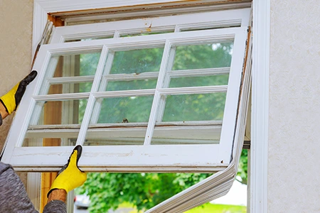 Window Replacement in Tarpon Springs, FL